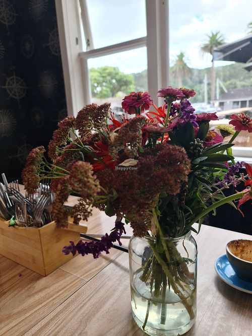 Inside seating at The Harbour House Cafe in Whitianga