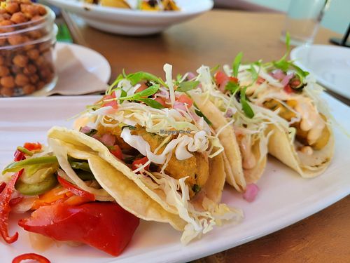 Batter fried avocado tacos at Margo's in Santa Monica
