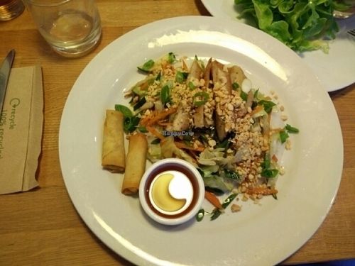 glas noodles with vegetables and springrolls  at Loving Hut in Leuven