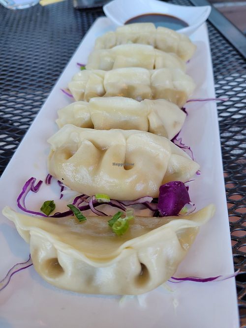Steam gyoza at MA-KIN in Agoura Hills