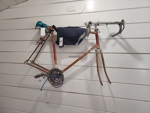  at Cyclelogical Coffee in Pinetop-lakeside