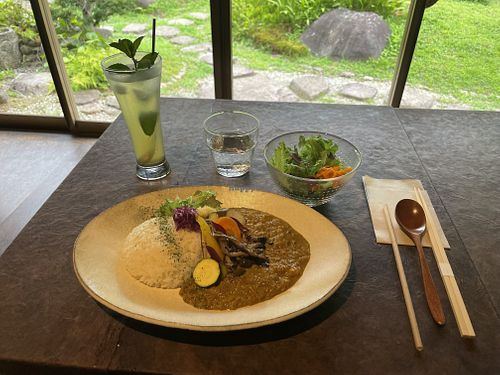 Coconut curry  at Sun Rice Kitchen in Hyogo