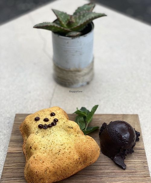   at Fabrika in Tirana