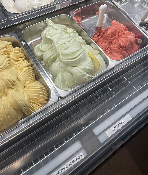  at Pinolo Gelato in Portland