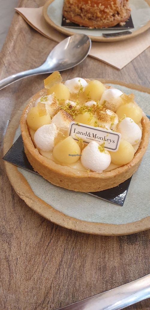 Image of Land & Monkeys - Turenne