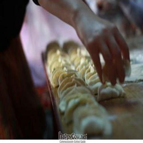  at Lhamo's Vegetarian Tibetan Cooking Classes in Dharamshala