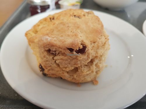 Vegan fruit scone at Clock Tower Cafe in Morpeth