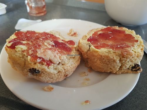 Vegan fruit scone with vegan jam and butter at Clock Tower Cafe in Morpeth