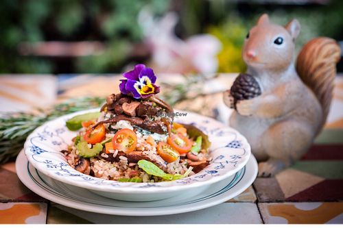 Whole Rice with Organic Vegetables and mushroom. zaltziqui  at Verdeo in Medellin