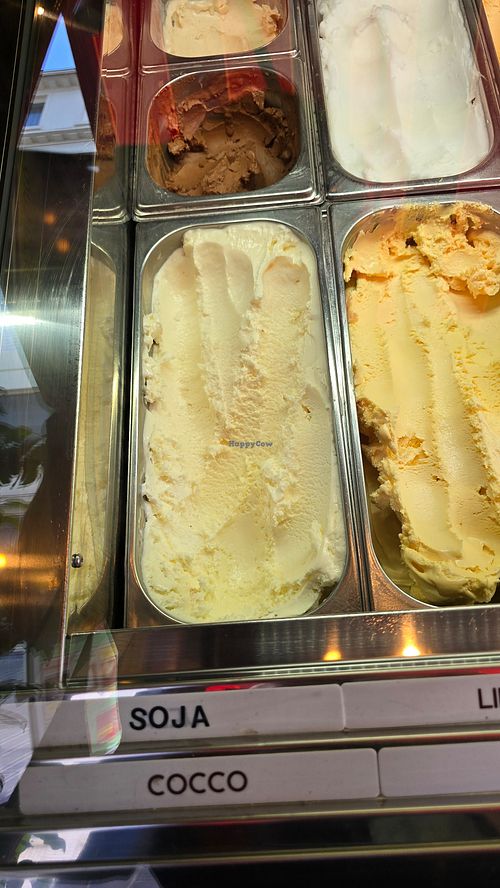 Soy icecream - two flavours at Gelato Maxzim in Oostende