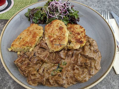 Serviettenknödel, Pfifferlinge in (Soja-Sahne)-Rahmsauce mit Wildkräutersalat at Elsässer Hof in Kappel-grafenhausen