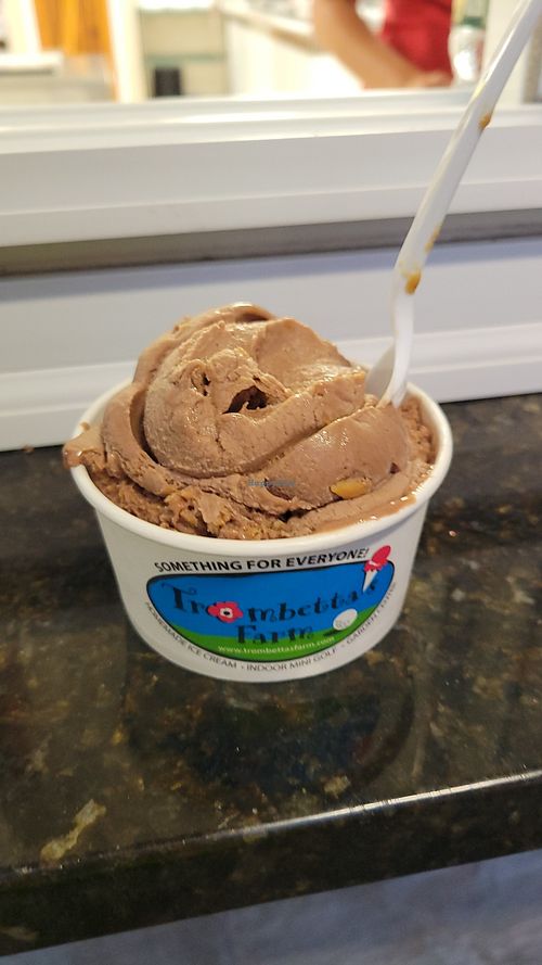 Chocolate peanut butter vegan ice cream at Trombetta's Farm in Marlborough