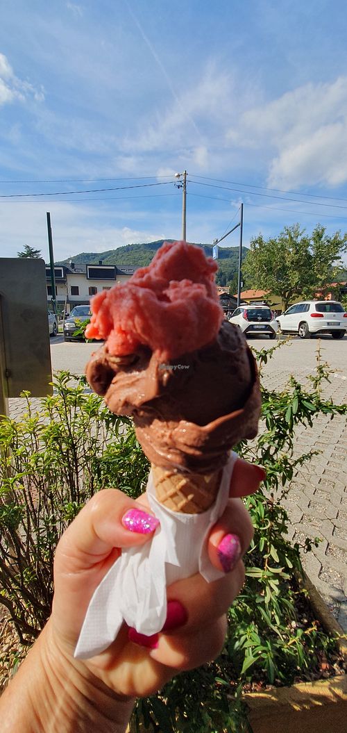 Nuss/ Schoko und Himbeere at Bacilieri Gelateria  in Marchirolo
