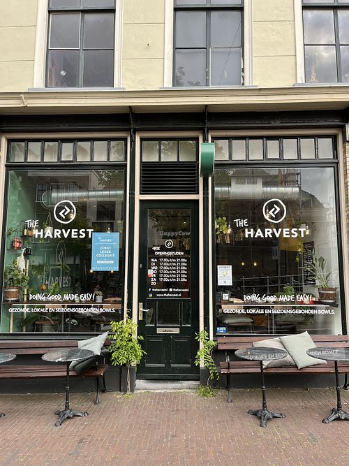 Street view  at The Harvest in Delft