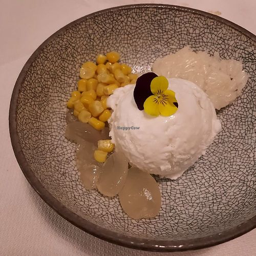 Coconut ice cream at Mali Vegan Thai in South West London