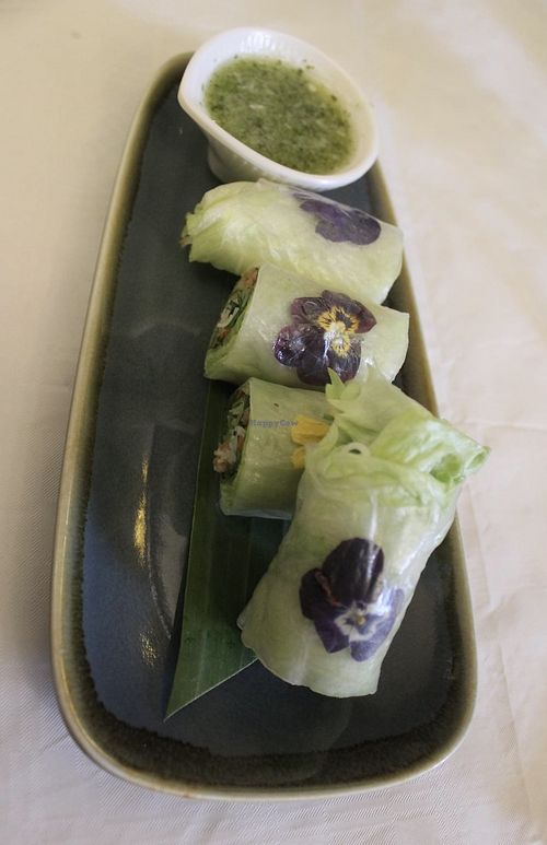 Fresh pea flowers & vegetable rolls with refreshing citrus dipping sauce  at Mali Vegan Thai in South West London