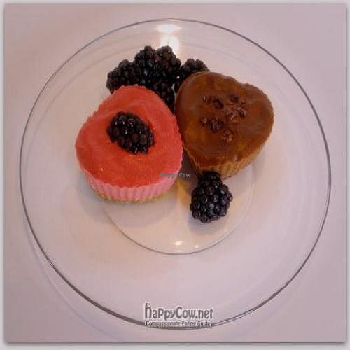  at Linda Louise Pulse Desserts in Harleysville