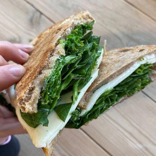  at Johns of Instow in Instow