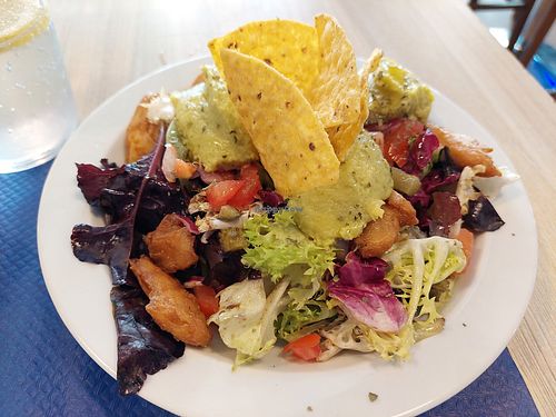 Main / Mexican inspired salad with Heura pb chickn at Dídola in Zaragoza