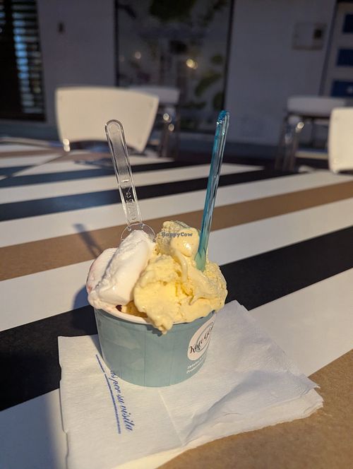 Helado de yogur y vainilla veganos at Kafé Glacé in Alicante