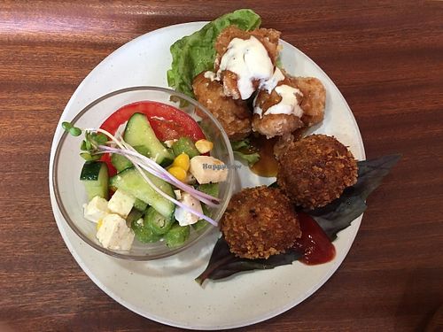 Two of the proteins and a small salad. at Noppokun in Nonoichi