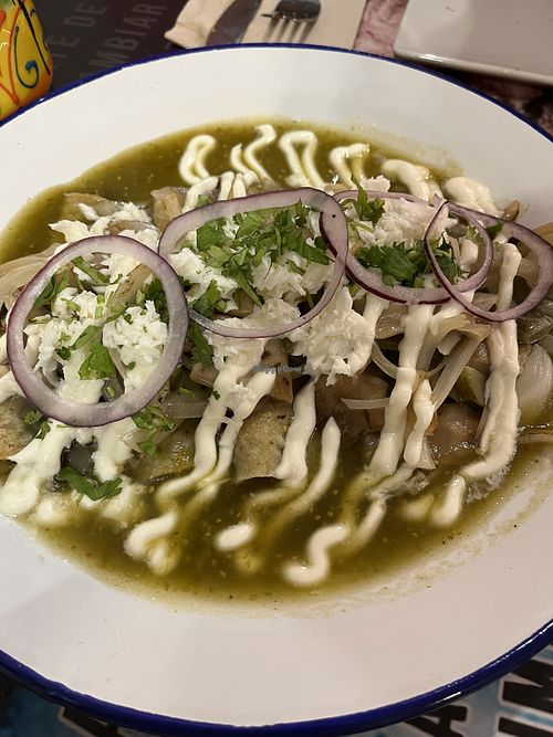 Vegetarian Enchiladas  at Santa Catrina in Cadiz