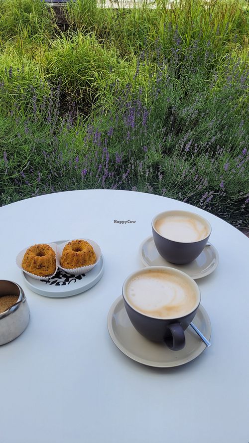  at PORTFOLIO ART studio cafe in Birzai