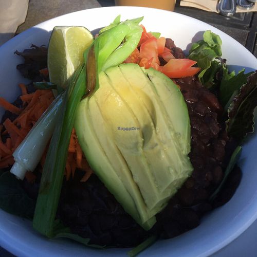 fresh tasty bowl loaded with protien at Hip Vegan in Ojai