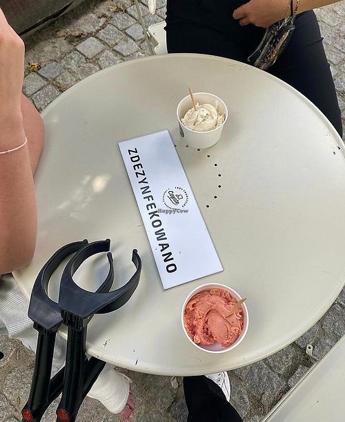 vegan and non-vegan options at Czyste Lody Tradycyjne in Miedzyrzecz