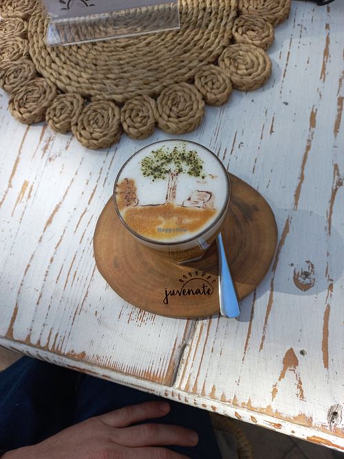 Cortado with oat milk at Juvenate in Stellenbosch