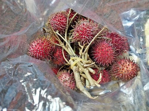 Organic Rambutan at Humble Food in Central Singapore