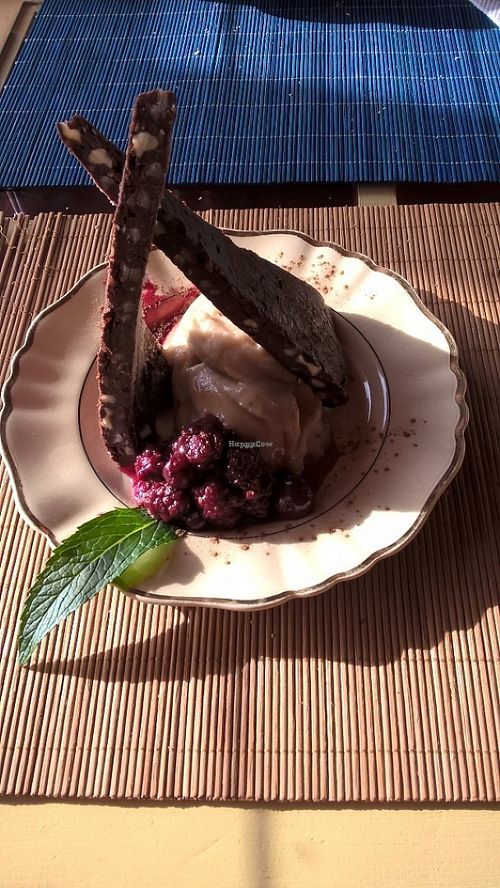 vegan raw brownie at Prana Bar Natural in El Chalten