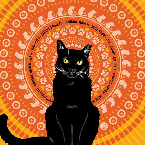 Graphic Art to raise awareness for cat adoption. at Bonfilio Design in Charlotte