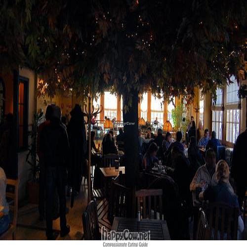  at Brek - Via Santa Teresa in Turin