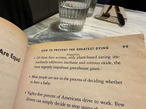   at Venn Canteen in Porto