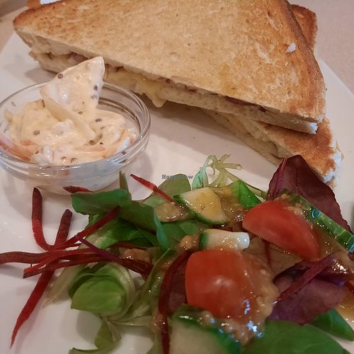 Toasty at The Terrace in Hunstanton