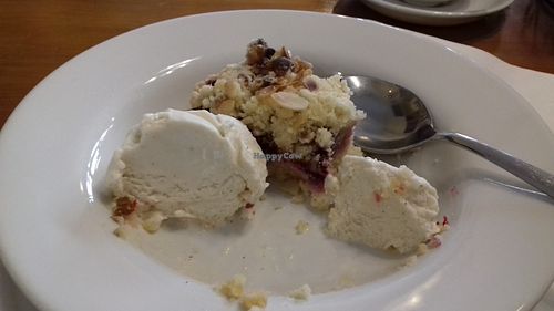 Vegan fruit crumble tart with vegan ice cream at Pumpernickel Coffee Shop in Dumfries