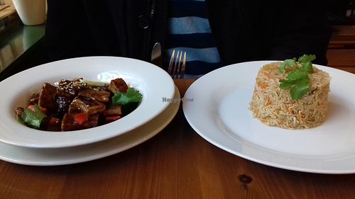 Tofu dish with rice at Pumpernickel Coffee Shop in Dumfries