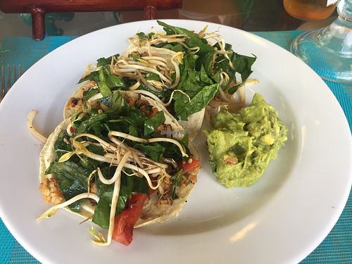 Tacos at Natura Restaurante in Cancun