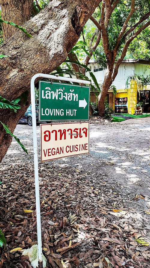 Car park at Loving Hut - Pak Chong in Pak Chong