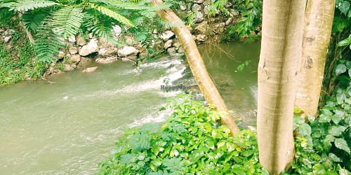 River next to restaurant at Loving Hut - Pak Chong in Pak Chong