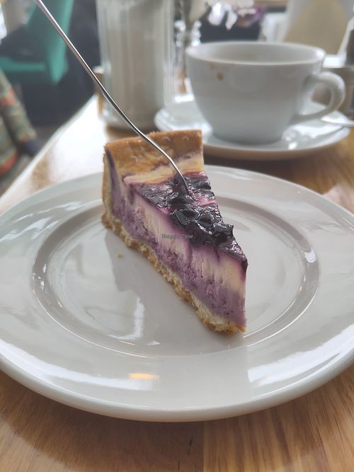 Blueberry cheesecake at Waldcafe in Bad Groenenbach