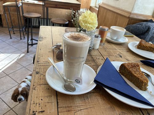   at Solid Ground in Uberlingen