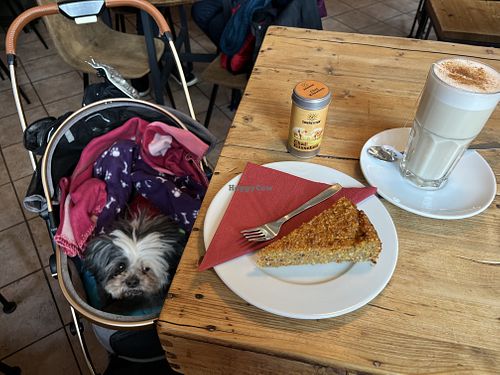   at Solid Ground in Uberlingen