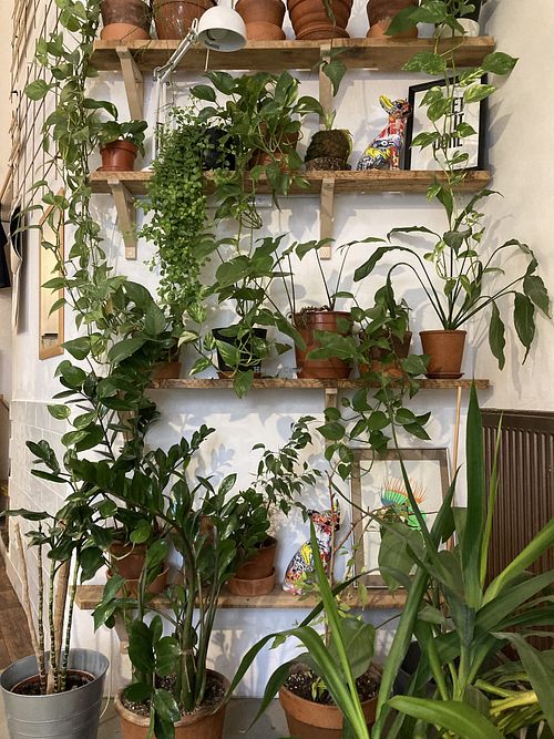 beautiful vibes  at Matsu Premium Tea & Coffee in Bratislava