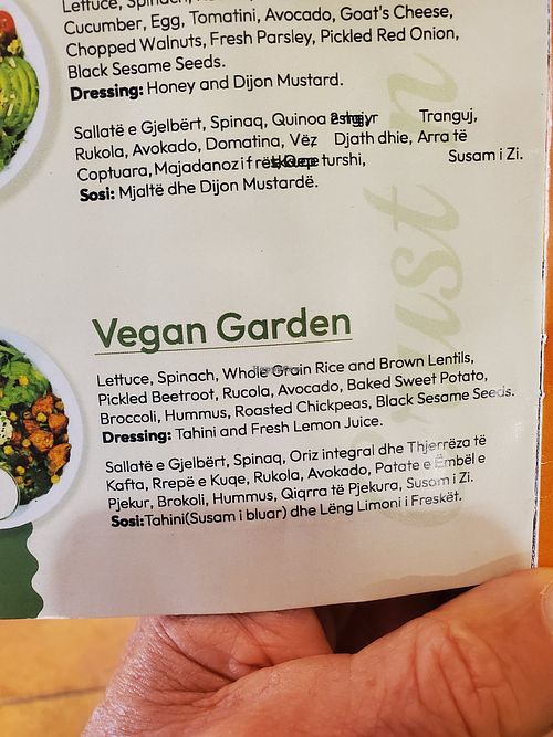 The only vegan choice.  One vegetarian option with cheese and egg. at Crust n Crumb in Pristina