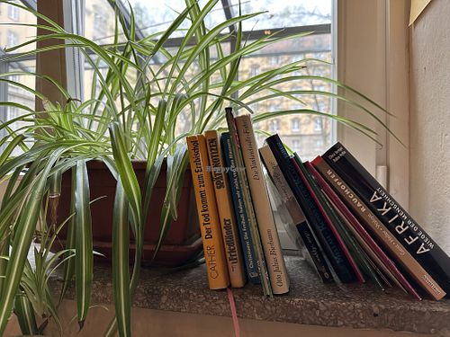 inside  at Aha Cafe in Dresden