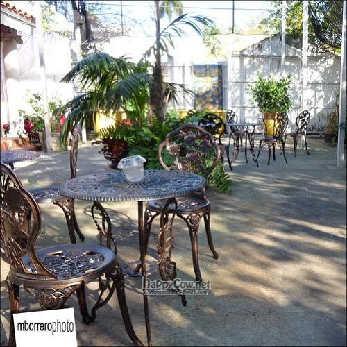  at Thrive Vegan Cafe in Miami Beach