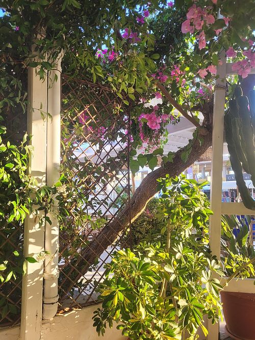  at Trilogia in Rhodes