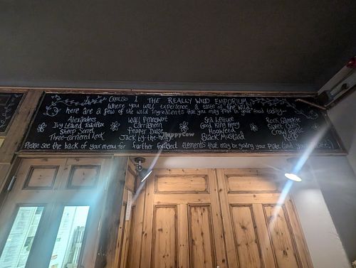  at Really Wild Emporium in Haverfordwest